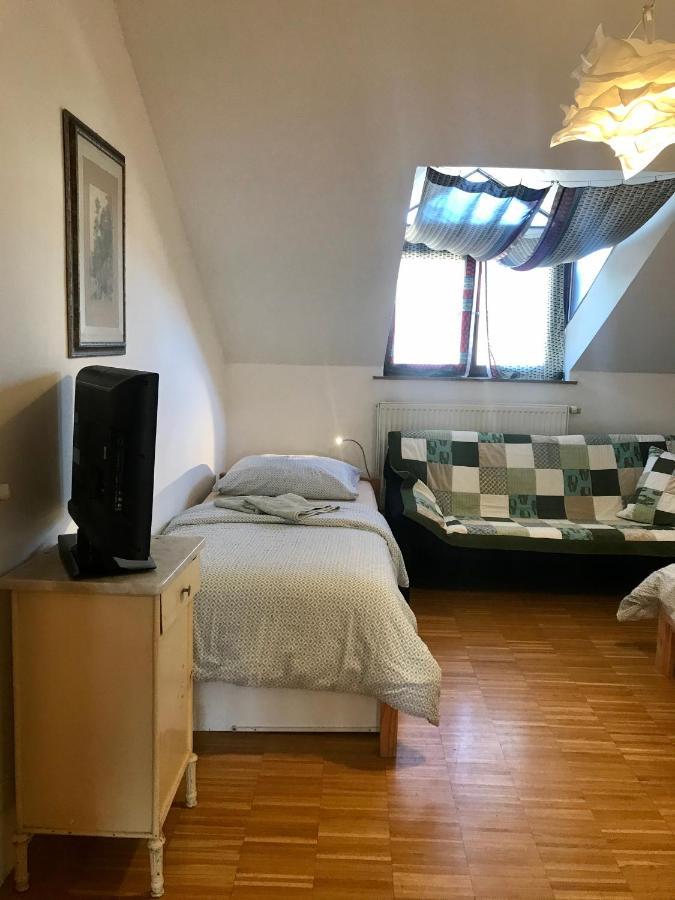 Apartmán Slovinská 28 Brno Exterior foto