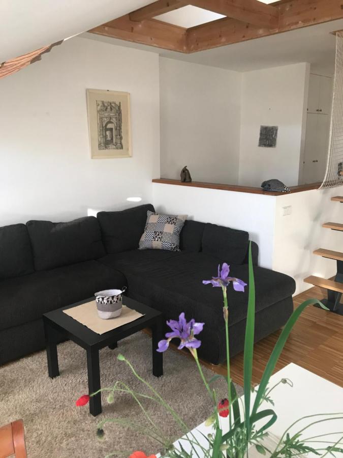 Apartmán Slovinská 28 Brno Exterior foto