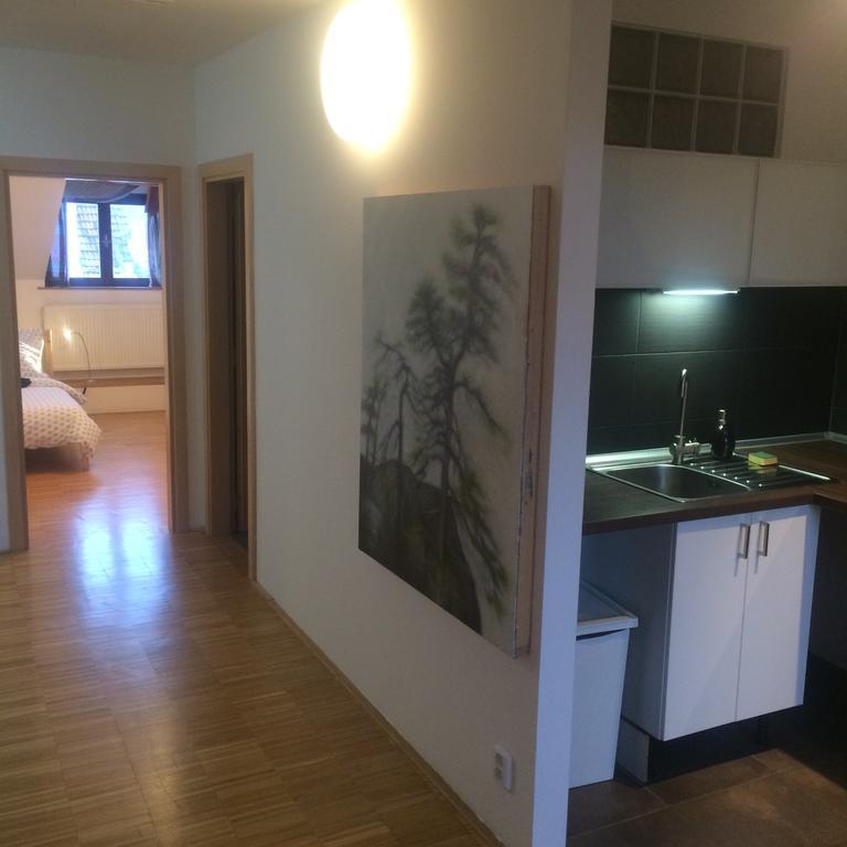 Apartmán Slovinská 28 Brno Exterior foto